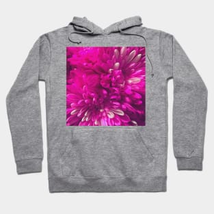 Chrysanthemum flowers close up photo Hoodie